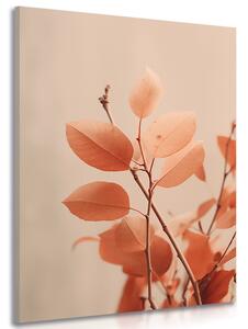 Stampa su tela – Rametti di foglie Peach Fuzz
