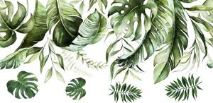 Adesivo murale per interni con il motivo delle foglie della pianta monstera 80 x 160 cm