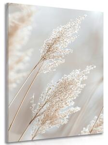 Quadro su tela – Canna beige