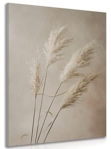 Stampa su tela – Erba pampas secca