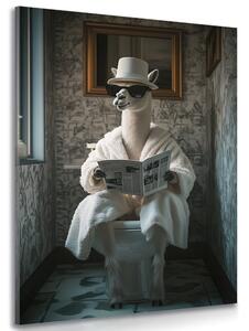 Stampa su tela – Alpaca con giornali in bagno