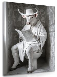 Stampa su tela – Toro bianco con giornali in bagno