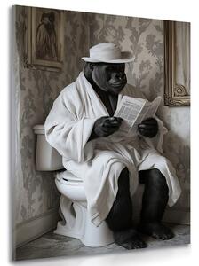 Stampa su tela – Gorilla con giornali in bagno
