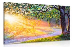 Quadro su tela – Alba nel bosco
