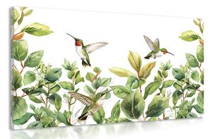 Stampa su tela – Colibrì e foglie