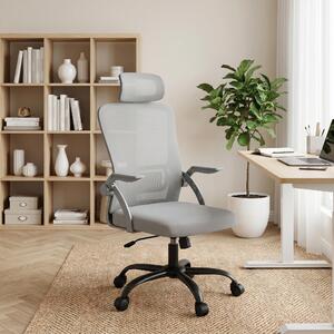 Sedia da ufficio QEENTOE, sedia a rete, ergonomica, con base smontabile, poggiatesta, supporto lombare, funzione di inclinazione fino a 105° per l'uso in ufficio, in casa o nello studio, colore grigio
