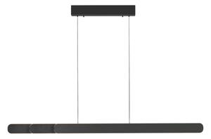 Schöner Wohnen 12577-18 - Lampadario LED dimmerabile su cavo ADRIANA 2xLED/24W/230V nero