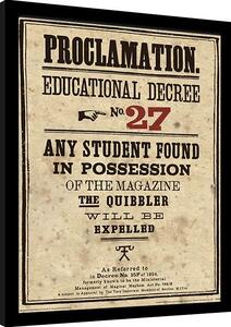 Quadro Harry Potter - Educational Decree No 27, Poster Incorniciato