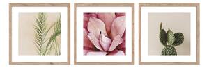 Set di dipinti stampati con cornice inclusa 3 pz 30x30 cm Fresh – Styler