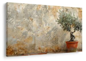 Quadro su tela – Ulivo da interno vicino al muro