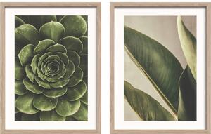 Set di dipinti stampati con cornice inclusa 2 pz 30x40 cm Beauty Green – Styler