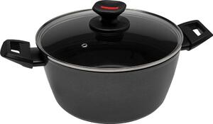 Zanetti Pentola a Induzione Casseruola Antiaderente 2 Manici con Coperchio cm 24 Alluminio - Evolution