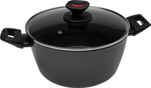 Zanetti Pentola a Induzione Casseruola Antiaderente 2 Manici con Coperchio cm 20 Alluminio - Evolution