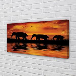Stampa quadro su tela Lago di West Elephants 100x50 cm