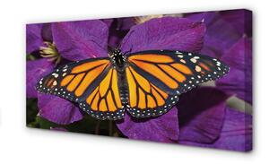 Quadro su tela Fiori di farfalla colorati 100x50 cm