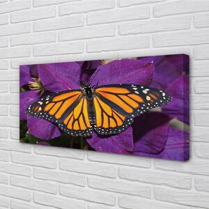 Quadro su tela Fiori di farfalla colorati 100x50 cm