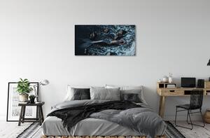 Stampa quadro su tela Sirena Mare 100x50 cm
