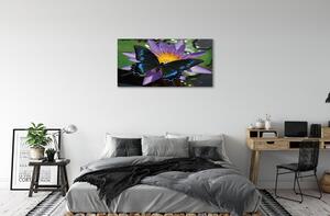 Foto quadro su tela Fiore di farfalla 100x50 cm