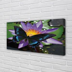 Foto quadro su tela Fiore di farfalla 100x50 cm
