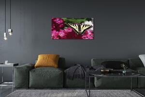 Stampa quadro su tela Fiori di farfalla 100x50 cm