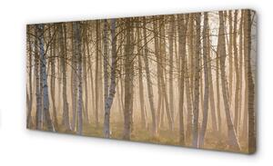 Quadro su tela Foresta dell'alba dell'albero 100x50 cm