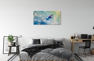 Stampa quadro su tela Farfalla colorata 100x50 cm