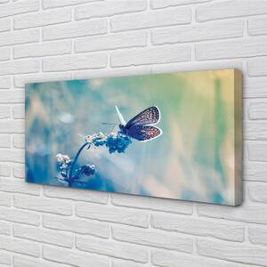 Stampa quadro su tela Farfalla colorata 100x50 cm
