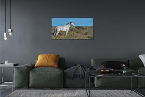 Quadro su tela Campo unicorno 100x50 cm