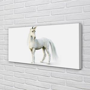 Quadro su tela Unicorno bianco 100x50 cm