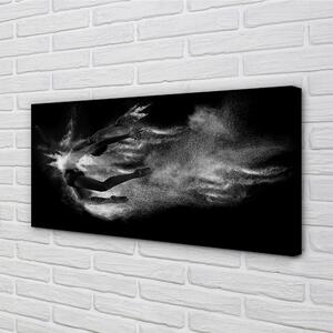 Quadro su tela Donna Ballet fumi sfondo grigio 100x50 cm