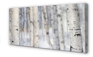 Quadro su tela Alberi di neve invernali 100x50 cm