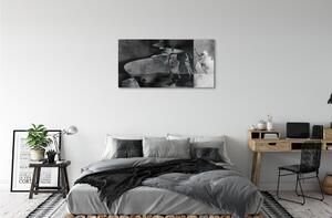 Quadro su tela Paradiso in bianco e nero 100x50 cm