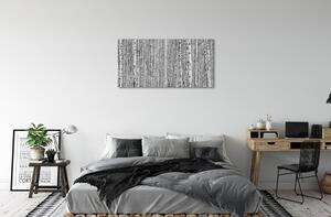 Quadro stampa su tela Alberi della foresta in bianco e nero 100x50 cm