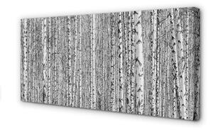 Quadro stampa su tela Alberi della foresta in bianco e nero 100x50 cm