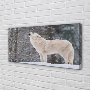 Quadro su tela Wolf Winter Forest 100x50 cm