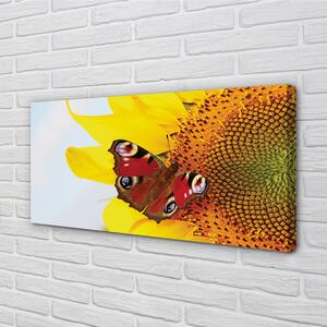 Quadro su tela Farfalla di girasole 100x50 cm