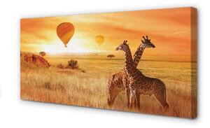 Stampa quadro su tela Balloons Heaven Giraffe 100x50 cm