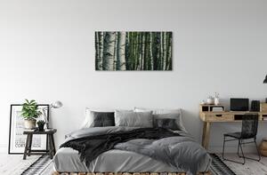 Stampa quadro su tela Foresta di betulla 100x50 cm
