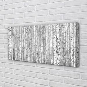 Quadro su tela Alberi della foresta in bianco e nero 100x50 cm