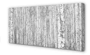 Quadro su tela Alberi della foresta in bianco e nero 100x50 cm