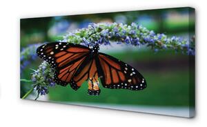 Quadro su tela Farfalla di fiori 100x50 cm