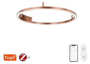 Immax NEO 07326-80C-LED Plafoniera dimmerabile FINO LED/55W/230V 80 cm Tuya rosa oro + telecomando