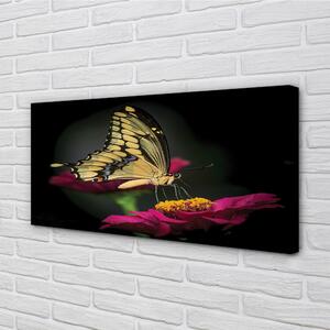 Foto quadro su tela Farfalla di fiori 100x50 cm