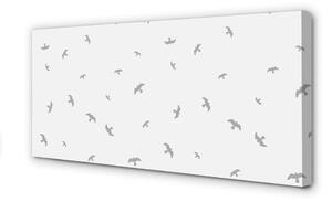Quadro su tela Uccelli grigi 100x50 cm