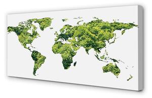 Quadro su tela Mappa di erba verde 100x50 cm