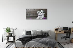 Stampa quadro su tela Fiori d'angelo addormentati 100x50 cm