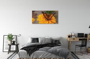 Quadro su tela Fiore di farfalla colorato 100x50 cm
