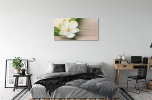 Stampa quadro su tela Magnolia bianca 100x50 cm