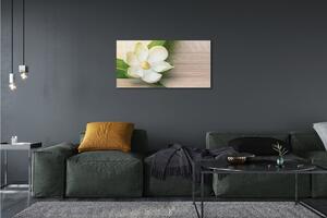 Stampa quadro su tela Magnolia bianca 100x50 cm