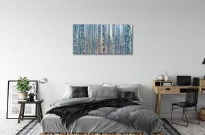 Quadro stampa su tela Sunset della foresta di betulla 100x50 cm